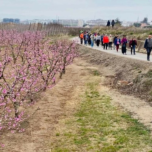 Imatge de la notícia “Caminar és fer salut” ofereix sis noves sortides per l’Horta de Lleida