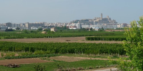 Imatge de la notícia Aprovades les bases dels 7ns Premis Horta de Lleida per reconèixer el valor agrari, cultural i paisatgístic d’aquest espai 