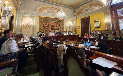 Declaració Institucional al Ple de la Paeria per protegir la singularitat de l'Horta davant les línies MAT