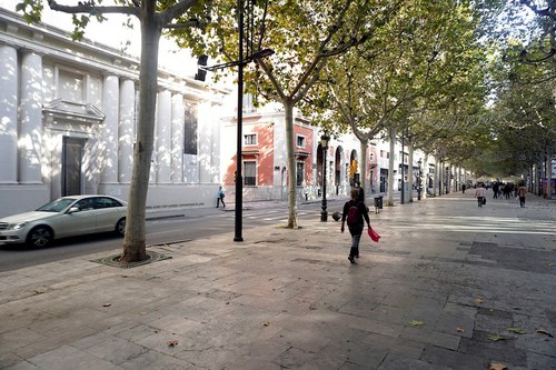 Imatge de la notícia Dilluns arrenca l'Operació Rambla