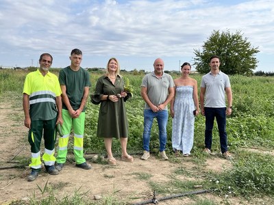 El Viver d’Agricultors de Rufea acull un nou projecte agrosocial amb el CET El Pla de Sant Joan de Déu