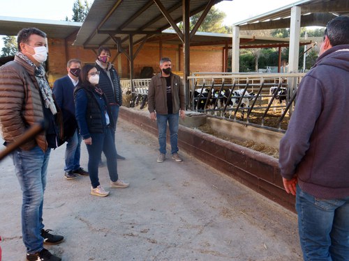 Imatge de la notícia Engranja’t, la proposta per viure una experiència agrocultural a l’Horta 