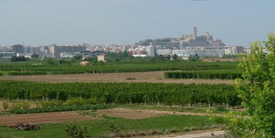 L’Ajuntament de Lleida convoca una nova edició dels Premis Horta