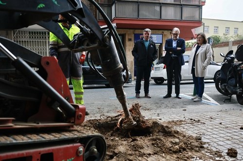 Imatge de la notícia L’Ajuntament de Lleida planta prop d’una vintena de nous arbres al carrer Doctor Combelles