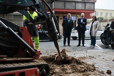 L’Ajuntament de Lleida planta prop d’una vintena de nous arbres al carrer Doctor Combelles