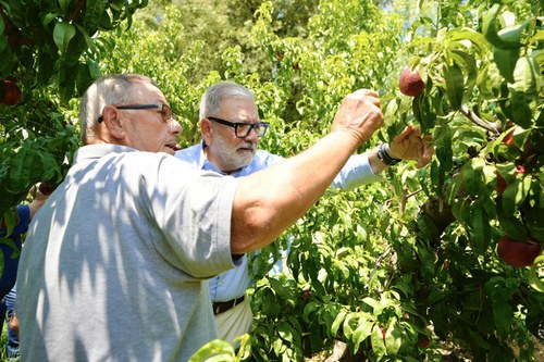 Imatge de la notícia La Paeria, al costat de la pagesia de l’Horta afectada per la tempesta de dissabte