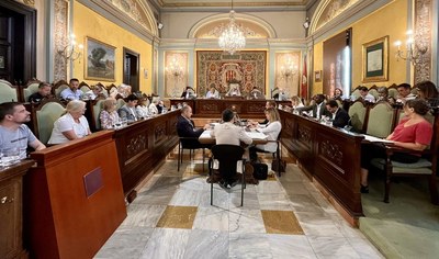 La Paeria aprova la modificació de l'Ordenança de Mobilitat, que obliga els conductors de VMP a dur una placa identificativa i a tenir una assegurança