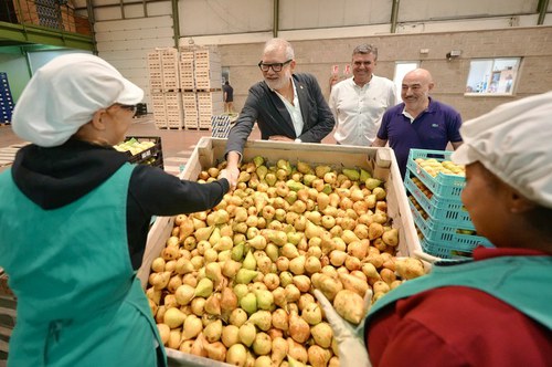 Imatge de la notícia La Paeria convocarà una cimera per impulsar la capitalitat hortofructícola de Lleida