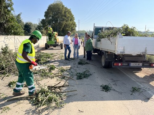 Imatge de la notícia La Paeria du a terme una actuació de desbrossament i poda d’arbres al Camí de Granyena