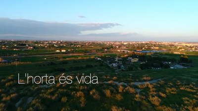 La Paeria edita unes píndoles audiovisuals per posar en valor els productes de l’Horta i els seus agricultors 