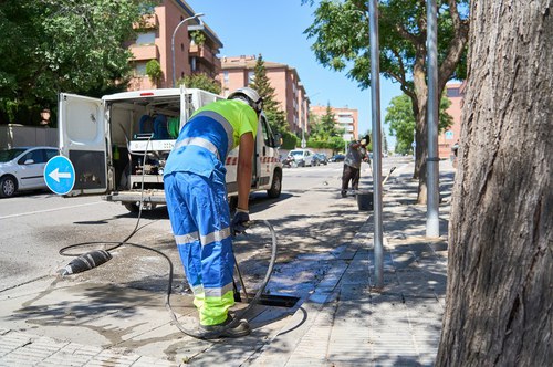 Imatge de la notícia La Paeria inicia la campanya de control de mosquits a la ciutat