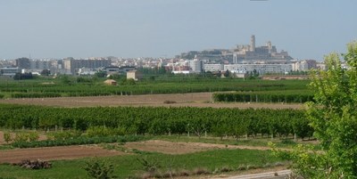 La Paeria inicia la instal·lació de noves càmeres de seguretat a l’Horta de Lleida i el Centre Històric