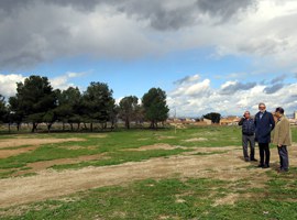 Imatge de la notícia La Paeria millora l’arbrat a La Bordeta i Magraners 