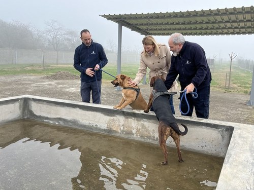 Imatge de la notícia La Paeria millora les instal·lacions del Centre d’Acollida d’Animals de Companyia i engega una campanya de promoció d’adopcions