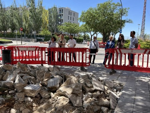 Imatge de la notícia La Paeria millora les voreres del barri de la Mariola