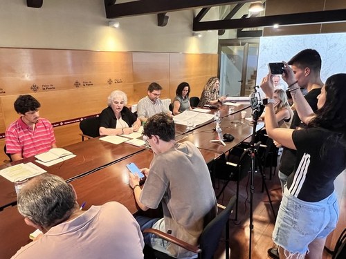 Imatge de la notícia La Paeria ratifica que la substitució dels arbres de Rovira Roure era inevitable pel seu mal estat