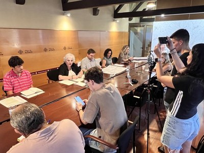 La Paeria ratifica que la substitució dels arbres de Rovira Roure era inevitable pel seu mal estat
