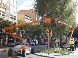 Imatge de la notícia La Paeria realitza treballs d’esporga en prop de 15.000 arbres a Lleida 