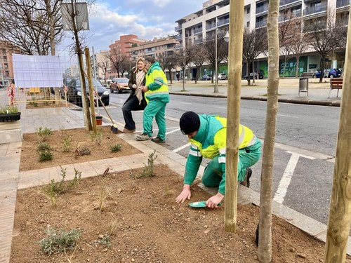 Imatge de la notícia La Paeria renaturalitza la rambla de Corregidor Escofet