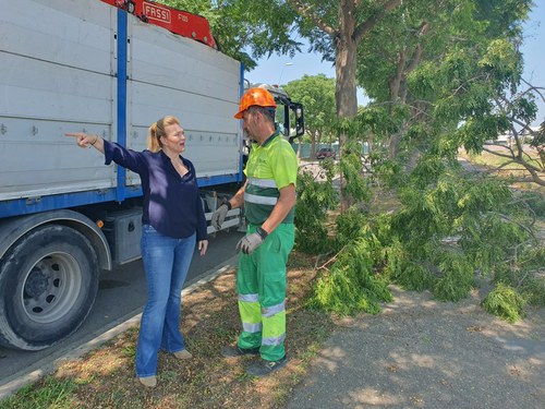 Imatge de la notícia La Paeria treballa per reparar els danys de la tempesta de dissabte