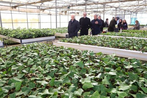 Imatge de la notícia L'Escola de Jardineria i el Centre Especial de Treball tindran un "paper protagonista" en la recuperació de Les Basses 