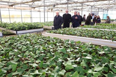 L'Escola de Jardineria i el Centre Especial de Treball tindran un "paper protagonista" en la recuperació de Les Basses 