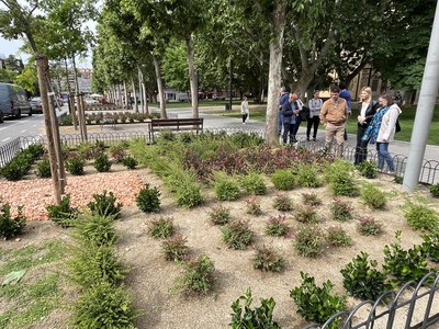 Llesta la renovació integral dels parterres de la Rambla d’Aragó