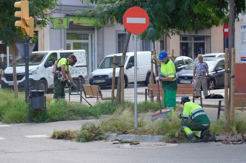 Imatge de la notícia Neteja intensiva al barri del Clot