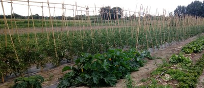 Obert un nou període per sol·licitar una finca professional al Viver d’Agricultors de Rufea 