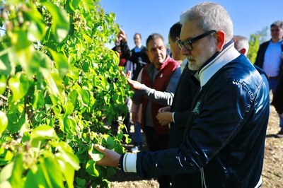 Paeria i Generalitat donen suport a la pagesia de l'Horta afectada per la pedregada de dissabte