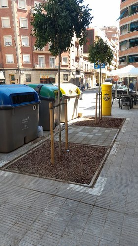 Imatge de la notícia Plantació d'arbres en antics forats de contenidors soterrats a Alfred Perenya