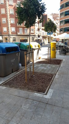 Plantació d'arbres en antics forats de contenidors soterrats a Alfred Perenya