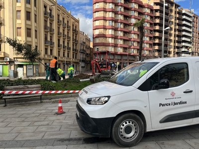 Plantació de 18 arbres i més de 1.300 plantes herbàcies per fer una plaça Cervantes més verda