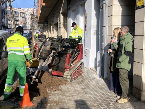 Imatge de la notícia Plantació de 400 arbres per omplir els escocells buits als carrers de Lleida