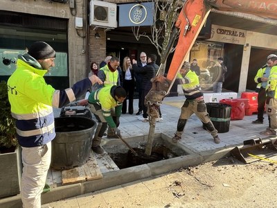 Recta final de les obres a Balmes i Rovira Roure, on s’ha iniciat la plantació de 21 arbres
