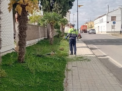 Tasques de neteja i manteniment intensiu a Sucs