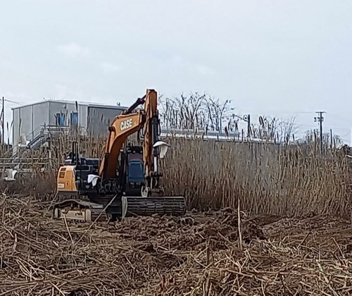 Imatge de la notícia Tasques per condicionar i naturalitzar les lleres no urbanes a la Riera de les Canals 