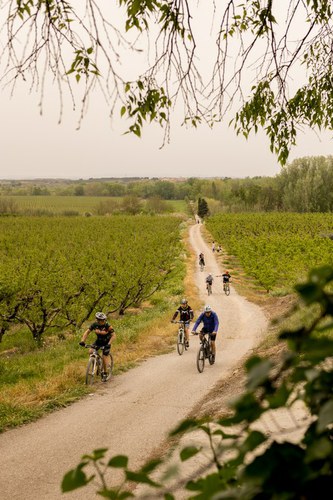 Imatge de la notícia Un autobús llançadora i una bicicletada popular, per assistir al segon cicle del festival de ‘L’Art a l’Horta’, a l’ermita de Grenyana