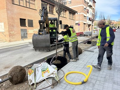 Recta final de les obres al carrer Artur Mor, amb la plantació de dotze arbres