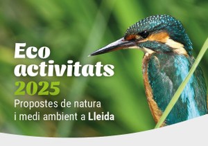 EcoActivitats 2025