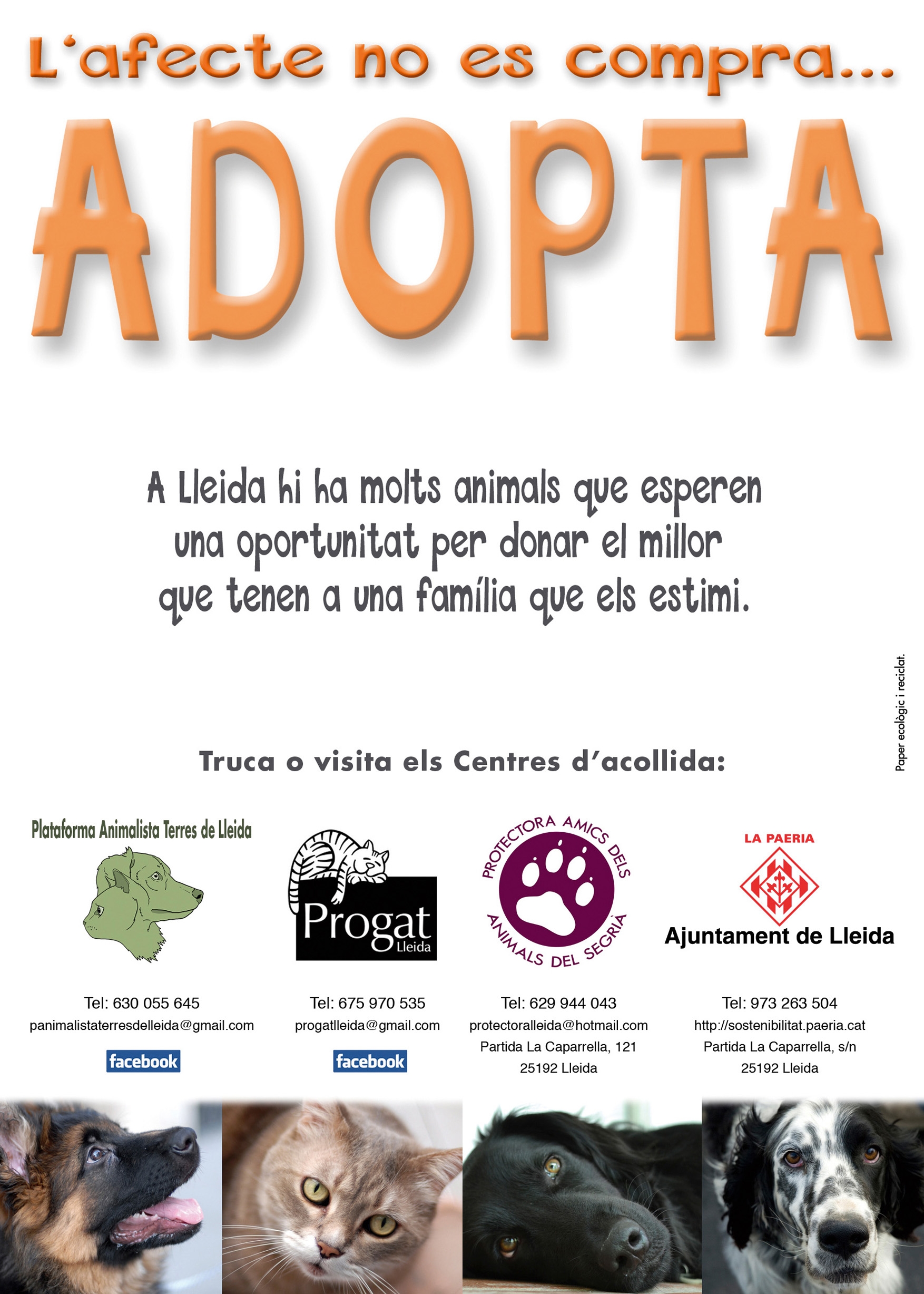 Campanya adopció cara B.JPG