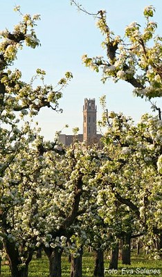 Premis Horta de Lleida