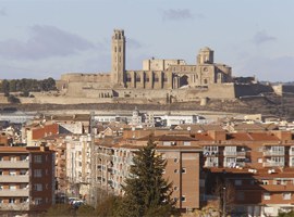 Imatge de la notícia Fèlix Larrosa anima els lleidatans a fer-se seva la candidatura de la Seu Vella a Patrimoni Mundial 