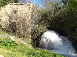 Imatge de la notícia L’Ajuntament de Lleida assumeix la propietat de l’antic Molí de Cervià 