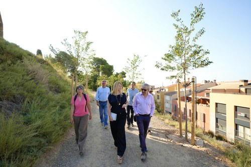 Imatge de la notícia La Paeria completa la renaturalització de l’entorn de la Seu Vella