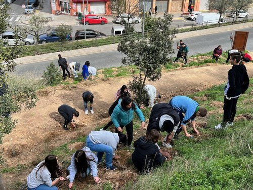 Imatge de la notícia Més d’un centenar d’alumnes del Gili i Gaya participen en la renaturalització de Gardeny