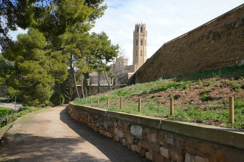 Imatge de la notícia Recta final del projecte de renaturalització de la Seu Vella