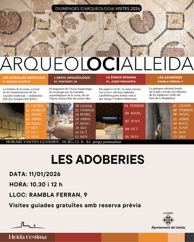 Imatge de la notícia Tornen les visites guiades d’arqueologia, que han superat el miler de participants al 2025