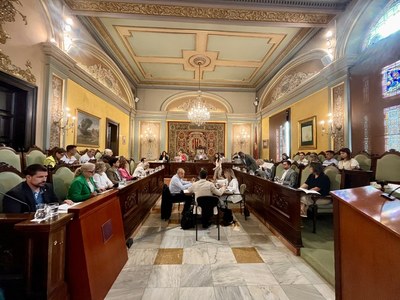 El ple avala sense vots en contra tramitar la planificació de la Lleida del futur
