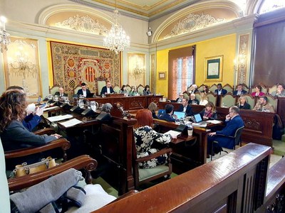 El Ple de la Paeria aprova el reglament del Nomenclàtor per a la denominació dels carrers de la ciutat